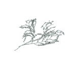CANELLA PEWTER