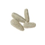 LUFFA WHITE WASHED