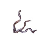 PALM COBRA SNOW TIP