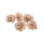 BETAL ROSE BLD 8