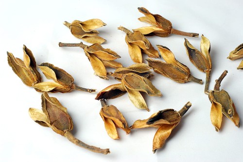 BATE CAIXA.jpg