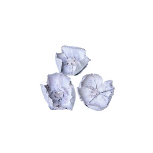 PALM CUP FLOCK WHITE