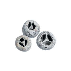 TALAMI GREY-WHITE WASHED