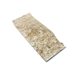 704271 - BRZOZA, DREWNO PŁATY - 60cm x 27cm