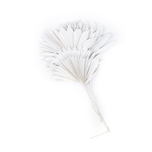 SUN PALM CUT - BIAŁY FLOK (1).jpg