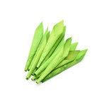 CALLA COLOR 18cm