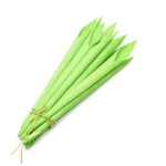 CALLA COLOR 38cm