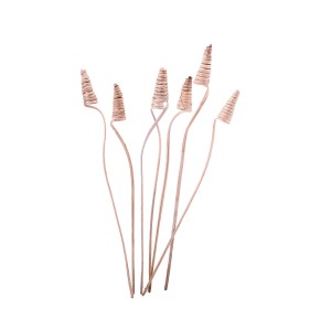 CANE CONE