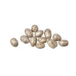 AMRA PODS SILVER-PLATINUM