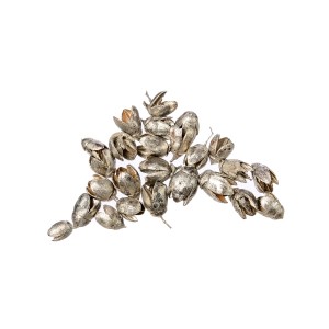 BAKULI SILVER