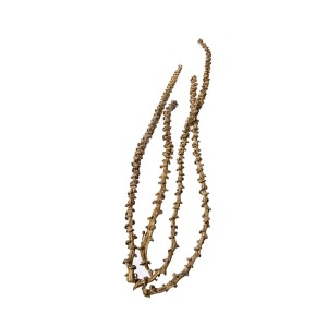 BANANA STEM GOLD / PLATINUM