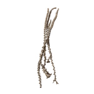 BANANA STEM SILVER / PLATINUM