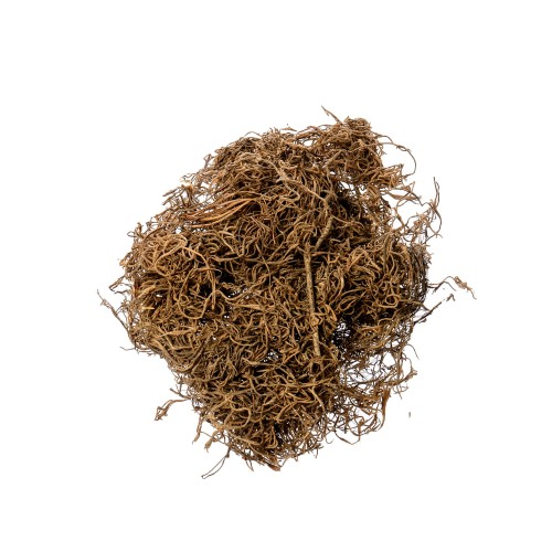 TILLANCIA MOSS - NATURE 250g.jpg