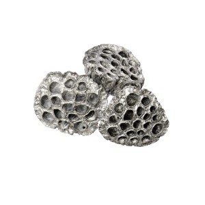 LOTOS EXTRA LARGE SILVER
