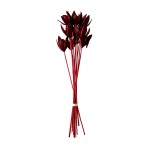 LILLY WILD STICK COLOR