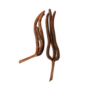 PALM MALE 3 FINGER