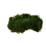 FLAT MOSS COLOR