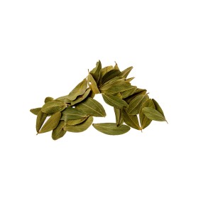 CABO VERDE LEAF 
