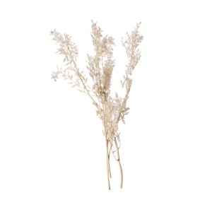RUSCUS BLD