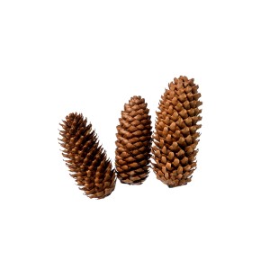 RYE CONE