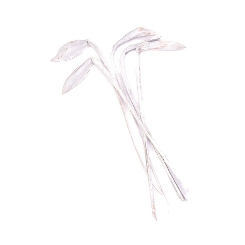 SHOE HORN - WW.jpg