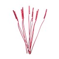 CANE SPRING - CZERWONY.jpg