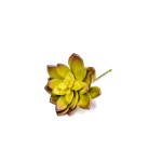 HA3AM0042GN3 - SUKULENT NA PIK, ESZEWERIA