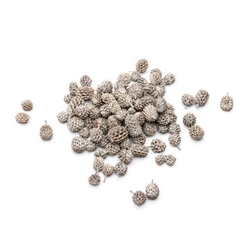 CASURINA 1cm - WHITE WASH.jpg