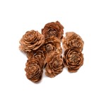 CEDER ROSE