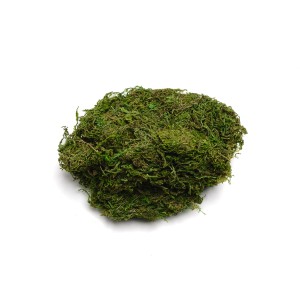 MOSS GREEN