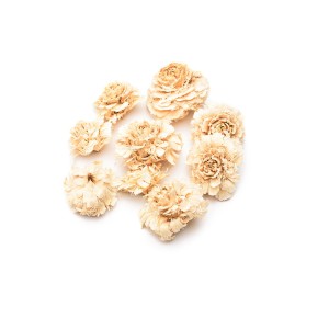 CEDER ROSE BLD