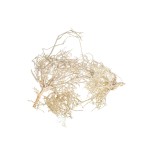 DRY TREE BLD