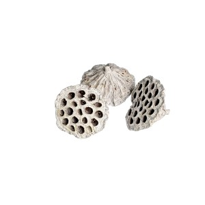 LOTOS EXTRA LARGE WHITE WASHED