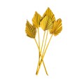 PALM SPEAR - ZÓŁTY.jpg