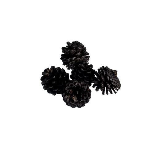 PINE CONE - CZARNY.jpg