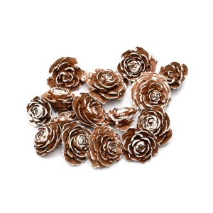 CEDER ROSE SNOW TIP