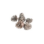 PINE CONE WHITE WASHED