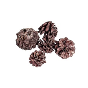PINE CONE BROWN-WHITE WASHED