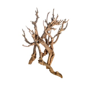TWIG BUNDLE