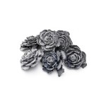 CEDER ROSE FLOCK BLACK