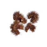 THORNY PODS ORANGE-WHITE WASHED