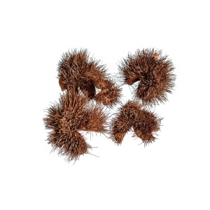 THORNY PODS ORANGE-WHITE WASHED