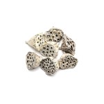 LOTOS SMALL WHITE WASHED