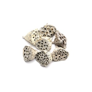 LOTOS SMALL WHITE WASHED