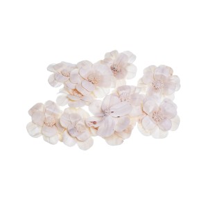SHOLA KADAMBARI - 6 cm