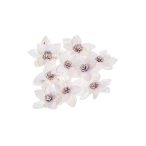 SHOLA RUKMANI - 8 cm