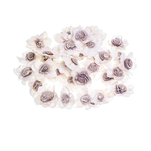 SHOLA TOPIA ASA - 4cm.jpg