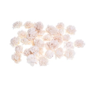 SHOLA ZINNIA - 4 cm