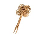 CANE COIL.jpg