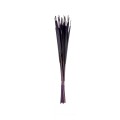 HOGLA STICK - VIOLET.jpg